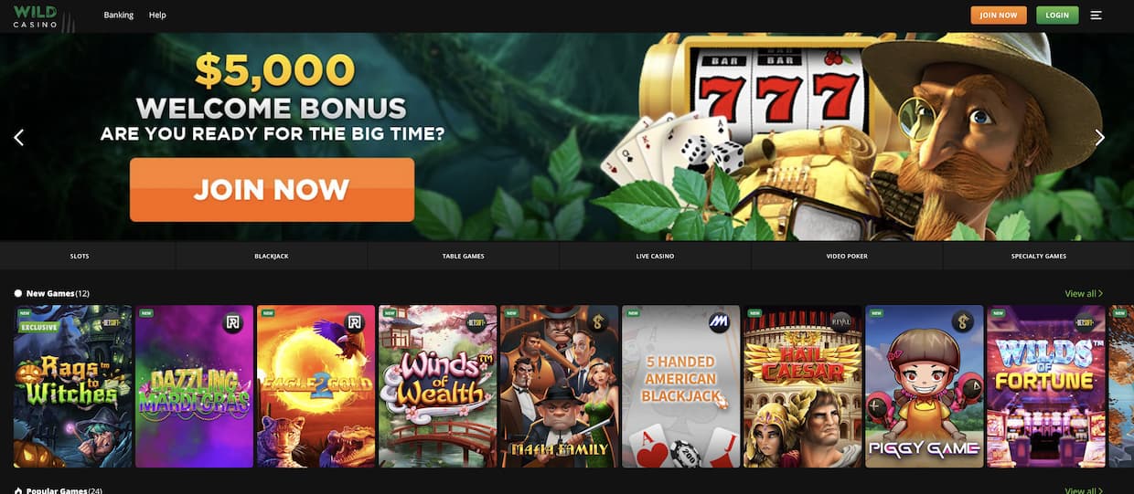 50 Reasons to casino online in 2021