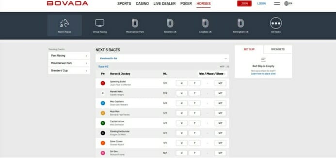 Bovada Horse Betting Page
