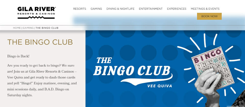 The Bingo Club AZ