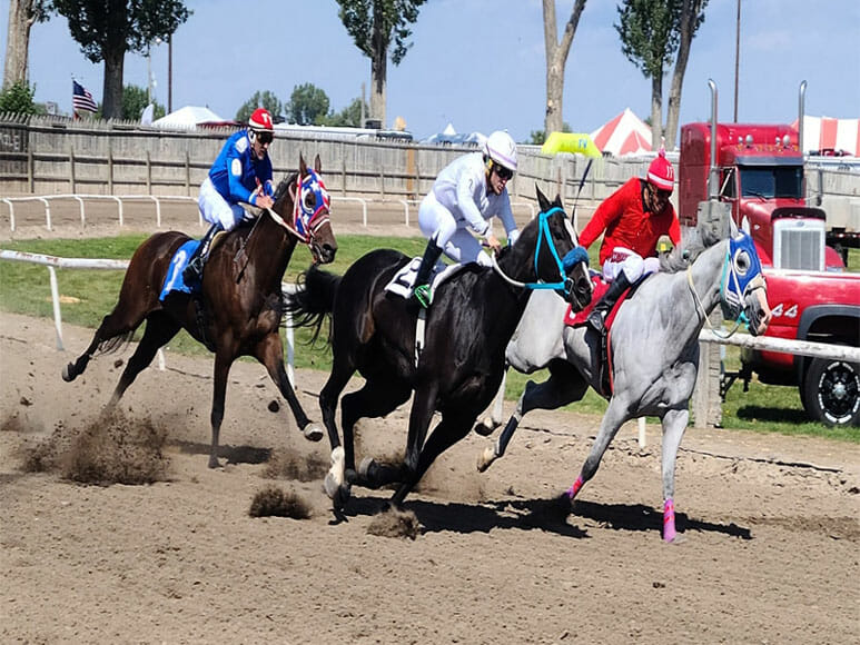 eastern-idaho-state-fair-horserace