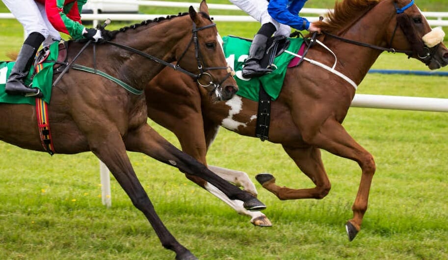 Horse race betting