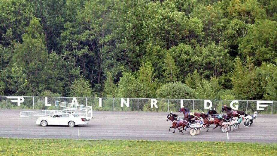 Plainridge Park horse racing