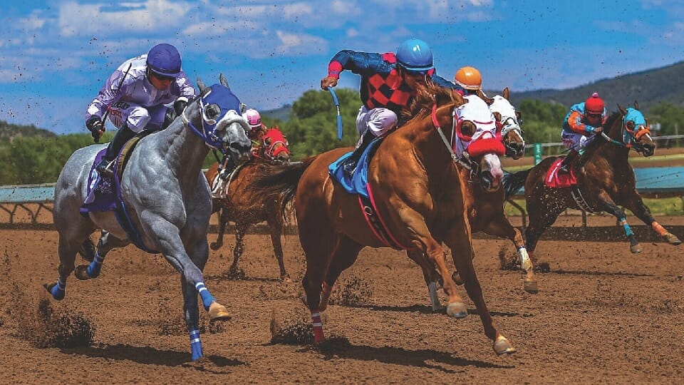 Quarter Horse Racing
