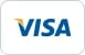 Visa casino deposit accepted